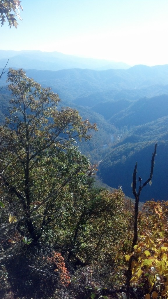 A view of Nantahala Gorge from the top of the ridge.